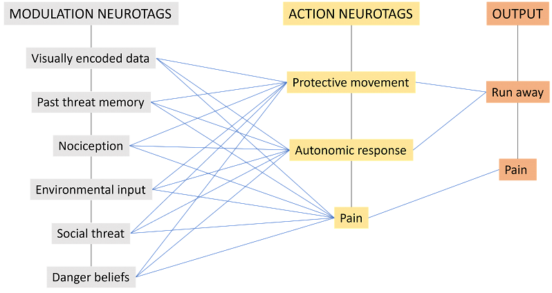 Pain Neurotags Why Do I Need To Know This PhysioX Pte Ltd